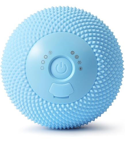 Amazon.com: MEXITOP Massage Ball, Heated Vibrating Massage Ball 120℉  Electric Vibration Ball for Physical Therapy Massage Fascia Ball for Deep  Tissue Massage Mini Size