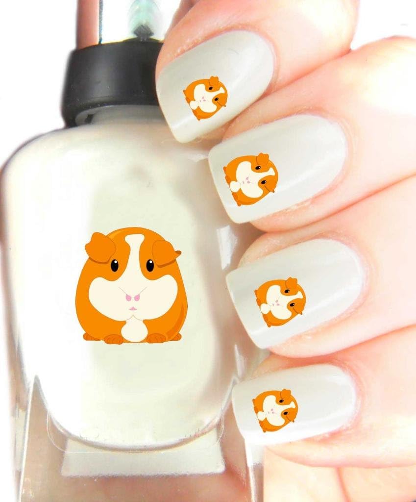 guinea pig nail care