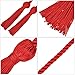 TecUnite Graduation Honor Cords Tassels Polyester Yarn Honor Cord for Bachelor Gown for Graduation Students (Red)