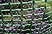DRY TOP 4'X100 71410 4'X100' GREEN SAFETY FENCE, 4 Feet x 100 Feet