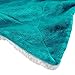 Genteele Sherpa Throw Blanket Super Soft Reversible Ultra Luxurious Plush Blanket, 50 x 60 inches, Teal/White