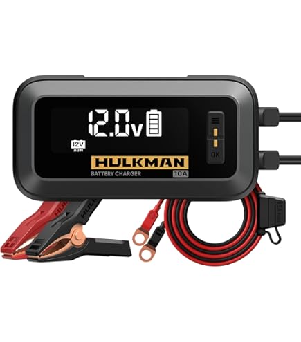 Caricabatteria Per Auto, SUV, Camion, Barca, Motociclo, Con Spina UE - Foto 14