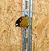 DC Cargo Mall E Track Wood Beam End Socket Shelf Brackets Accessories (10 Pack) - Fit with 2x4 2x6 Add Removable Etrack Load Lock Bar for Enclosed Trailers - Zinc-Coated Steel