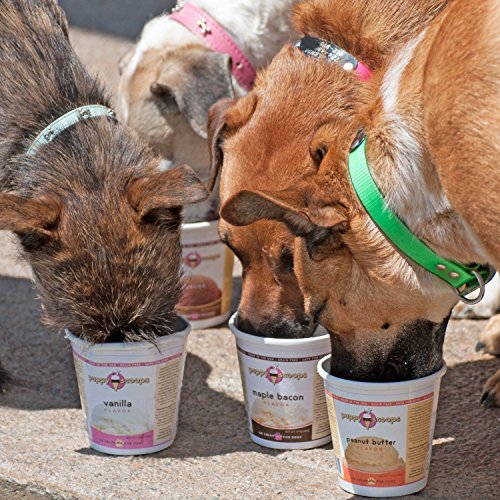 Pet Supplies, Dogs, Treats, Cookies, Biscuits & Snacks, Snacks