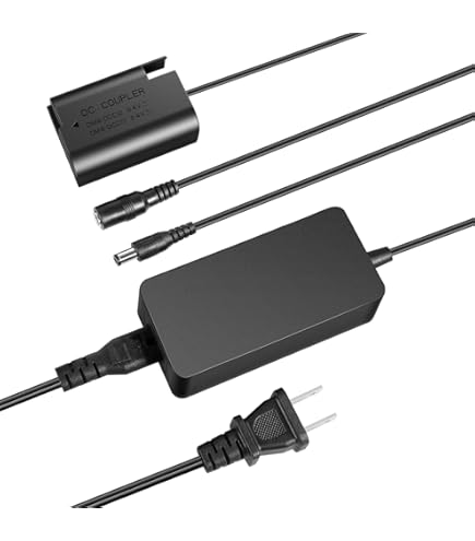 Amazon.com : F1TP DMW-AC10 DMW-DCC8 AC Power Adapter Dummy