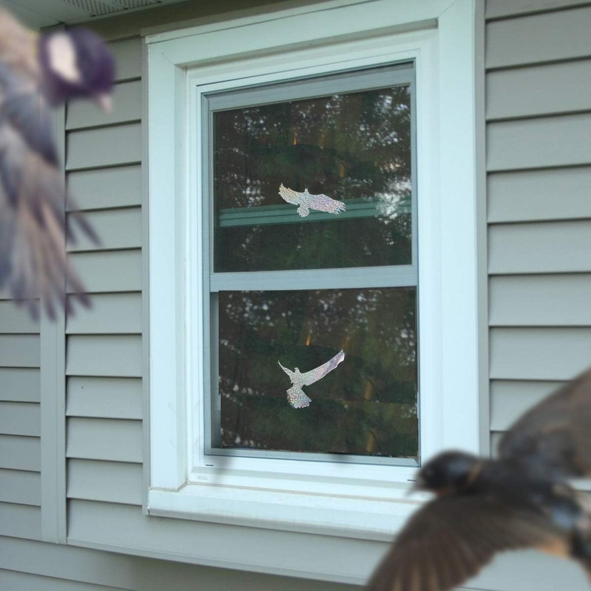 Bird For Stickers Window Deterrent Bird Pieces 30 Strikes Eagle Shaped Windows Hitting From Birds Prevent Prevention Decals Alert Glass Collision Anti Window Stickers Window Stickers Films Big Discount Www Klevering Com Bird For Stickers Window Deterrent Bird Pieces 30 Strikes Eagle Shaped Windows Hitting From Birds Prevent Prevention Decals Alert Glass Collision Anti Window Stickers Window Stickers Films Big Discount Www Klevering Com