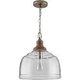 Capital Lighting 330318GY Julian Coastal Style Clear Organic Rippled Glass Pendant with Handcrafted Mango Wood Finial, 1-Ligh