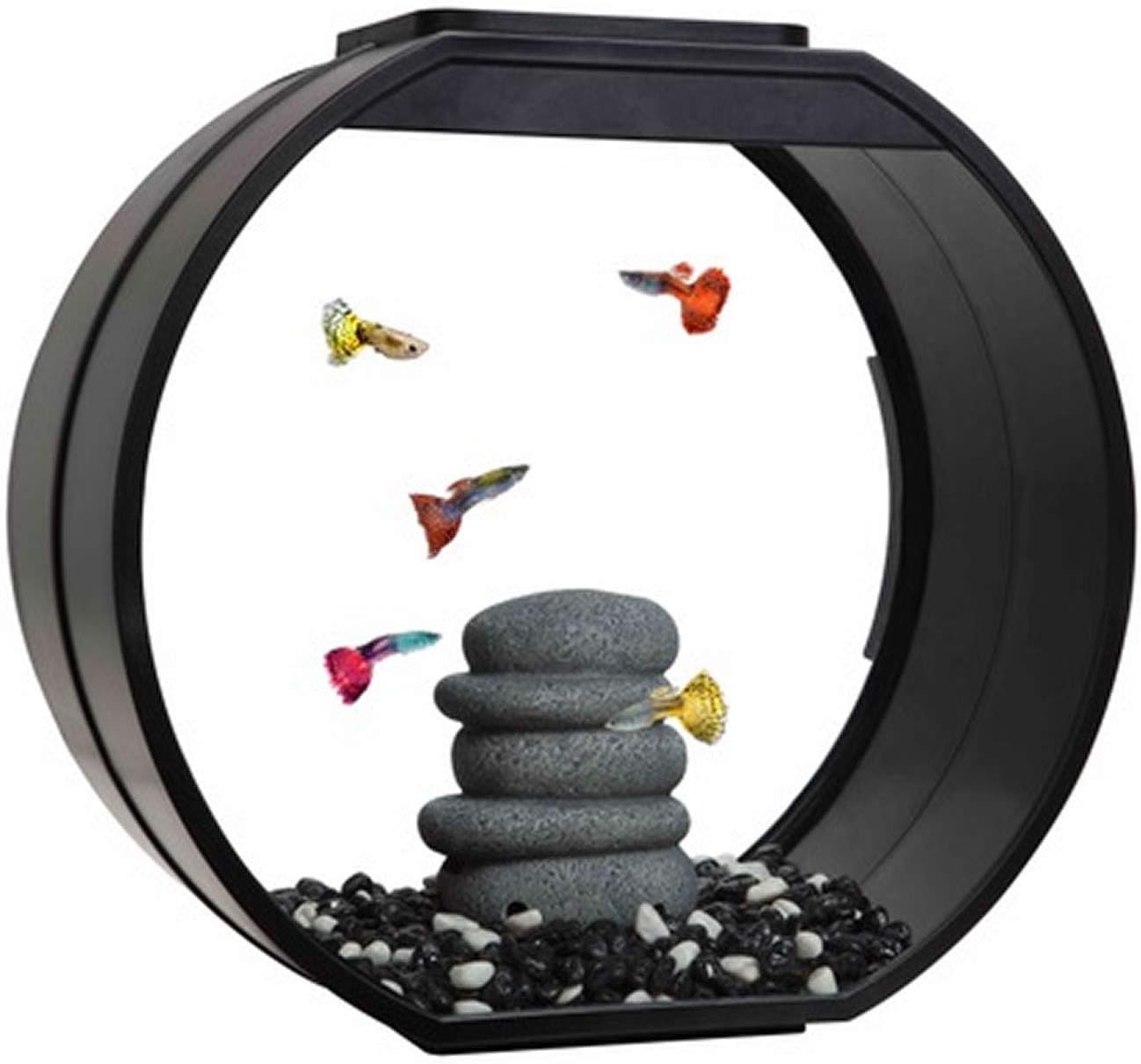 fish r fun deco fish tank