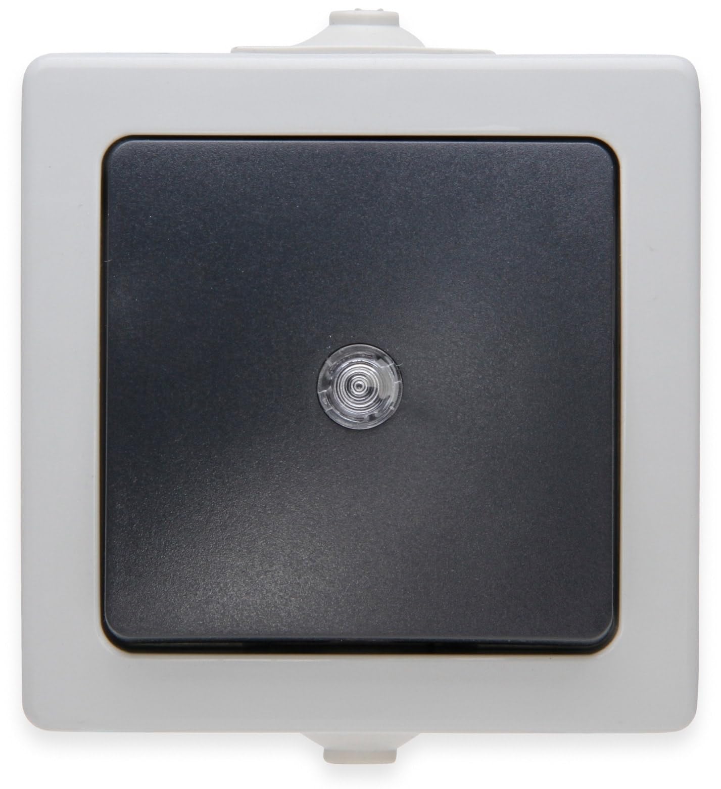 Taster grau AP-FR NAUTIC