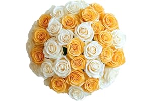GlobalRose White & Yellow Fresh Cut Roses - 50 (2 Bundles of 25) Fresh Flowers Bouquet for Mother's Day, Birthday, Anniversary & Special Occasions