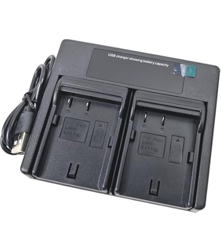 Amazon.com : Micro USB Battery Charger for Panasonic Lumix DC-GH5S