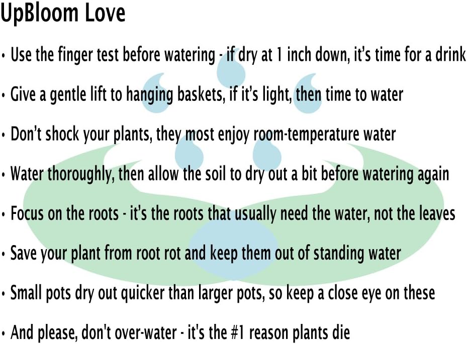 UpBloom 32oz Plant Water Bottle for Hanging Plants, Succulents and Multipurpose Watering with Adjustable Long Reach Neck Design | Indoor or Outdoor : Garden & Outdoor
