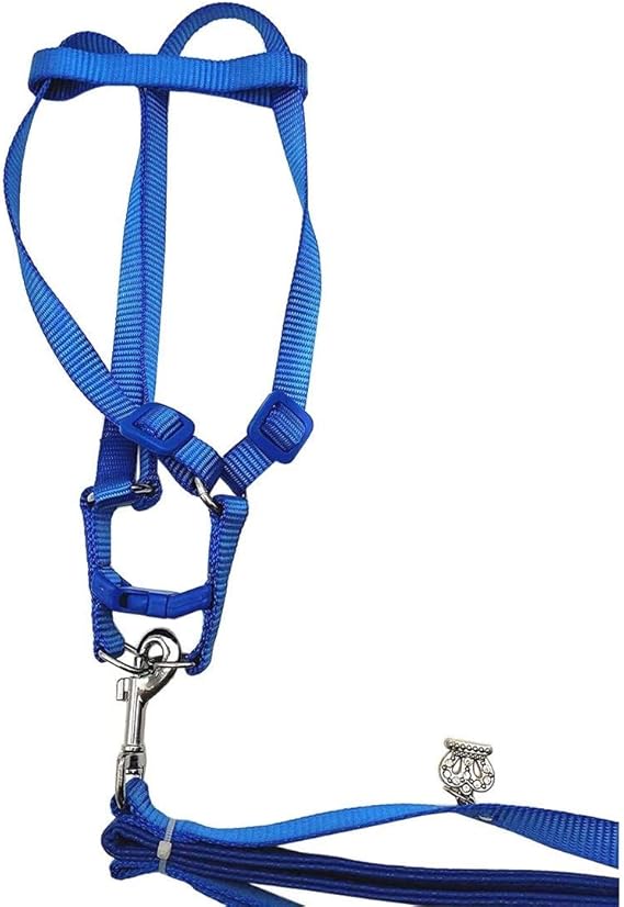 Bird Harness and Leash Amazon Cockatoo Harness Safe Adjustable Nylon