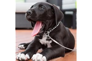 Dog Leash - Plastic-Coated Galvanized Steel Wire Rope, Speaker Safety, Clothes Hanging Rope, Outdoor use