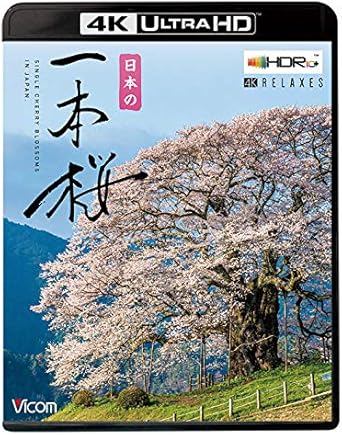 Amazon Co Jp 日本の一本桜 4k Hdr 4k Ultra Hdブルーレイ Ultra Hd Blu Ray Dvd ブルーレイ ビコム 4k Relaxes リラクシーズ