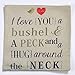 BOKOLI Sofa Bed Home Decor Festival Funny Quotes Throw Pillow Case Cushion Cover (I LOVE YOU)
