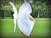 WHITE Shimmer Angel Wing Catch the Fire Worship Flags (single layer pair)