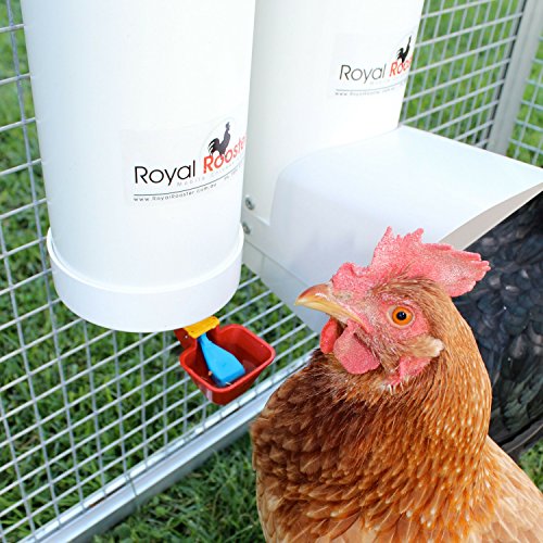 Royal Rooster Chicken Feeder With Rain Cover And Valve Cup Waterer