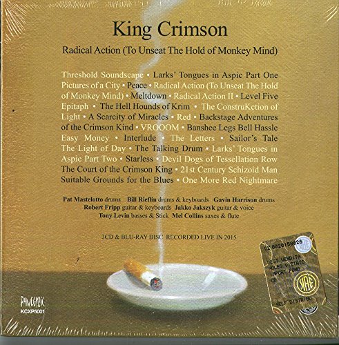 Image result for king crimson radical action