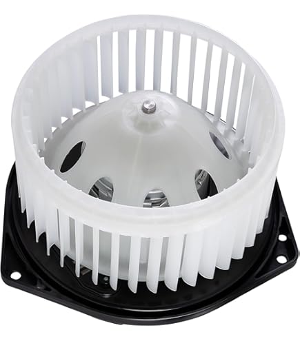 Febi Bilstein 15558 Zylinderkopfdichtung - Original Ersatzteil Für Audi, VW, Seat