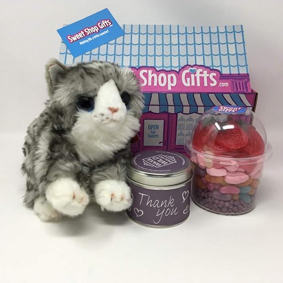 amazon uk gifts for cat lovers