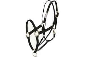 Aime Imports Basic Pull Back Training Halter