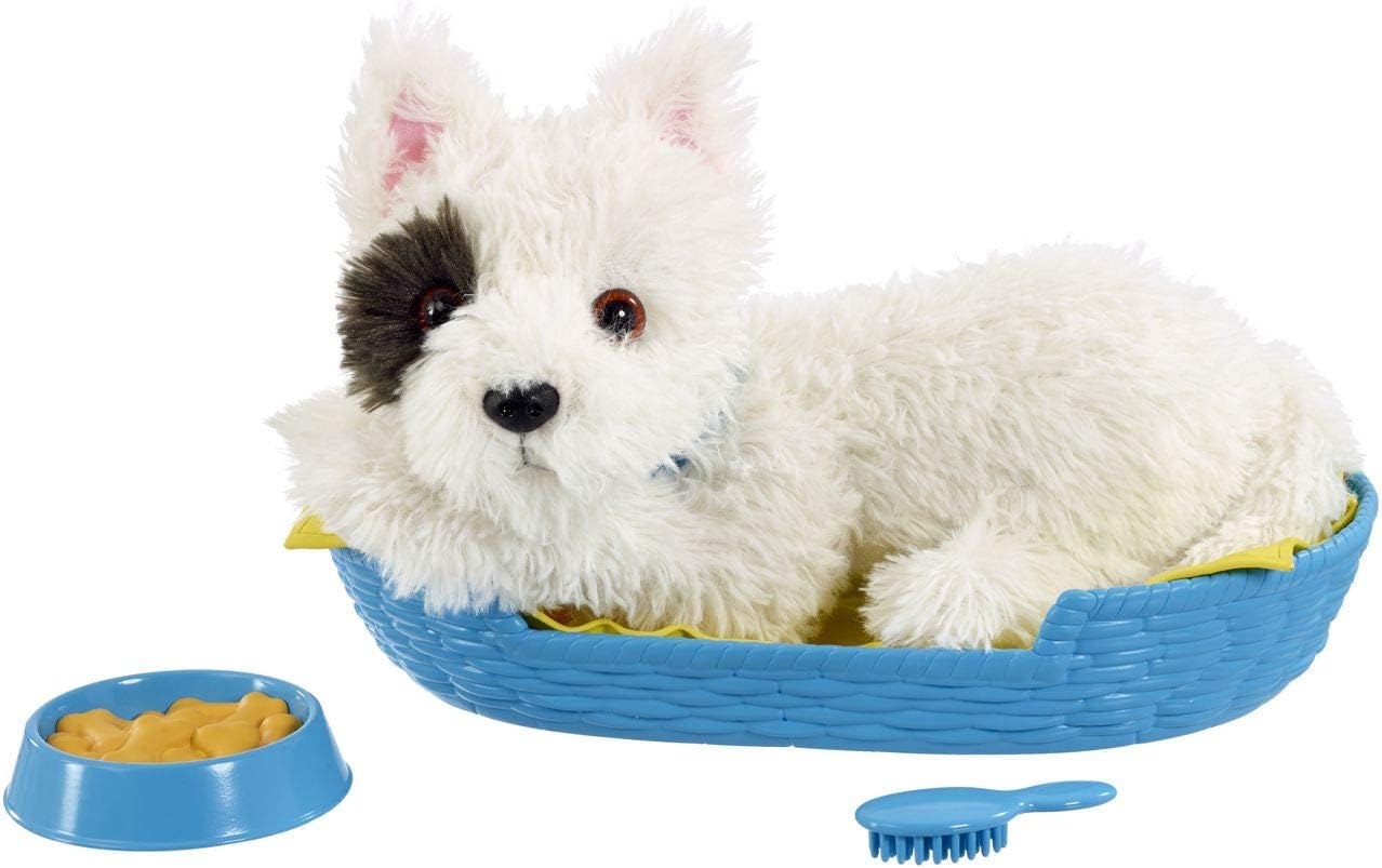 local siamese kittens for sale