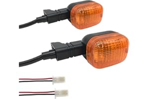 SPNUVR 2Pcs Rear Motorcycle turn signals Winker Indicators light for Yamaha BWS 50 100 125 ZUMA/50F/50 FX ZUMA 125 (Amber)