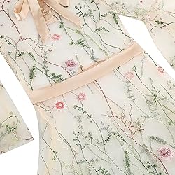 Bow Tie Neck Floral Embroidery Illusion Dress for