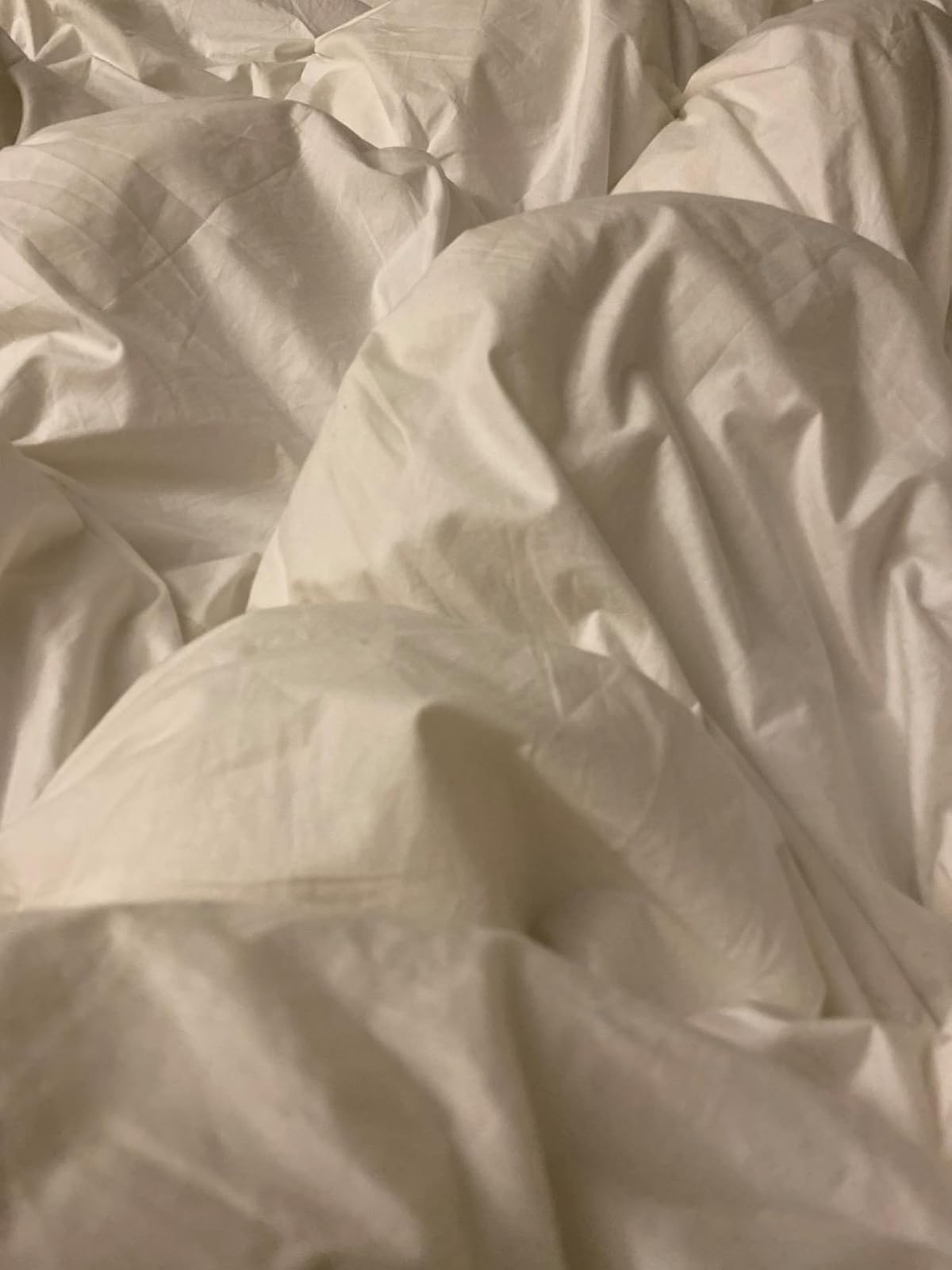 User review photo