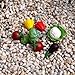 Miniature Fairy Mini Garden Vegetables