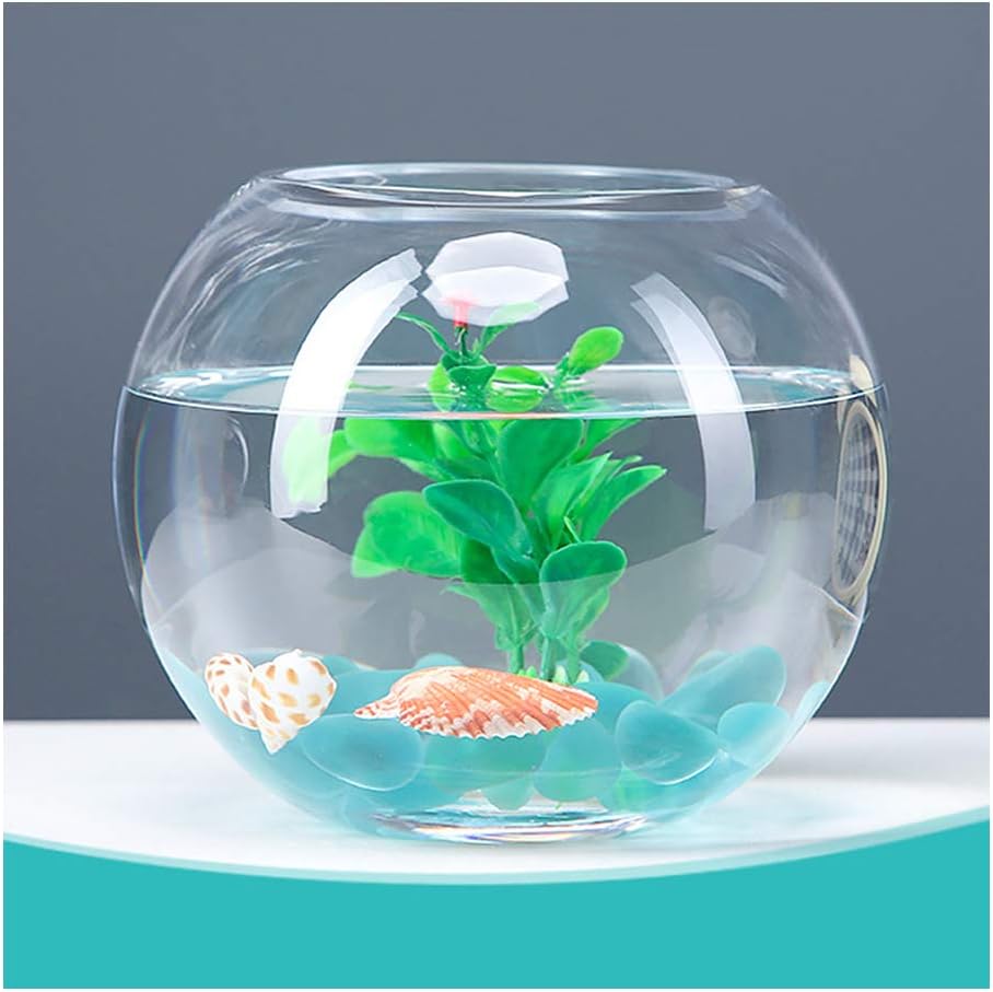small modern fish tank