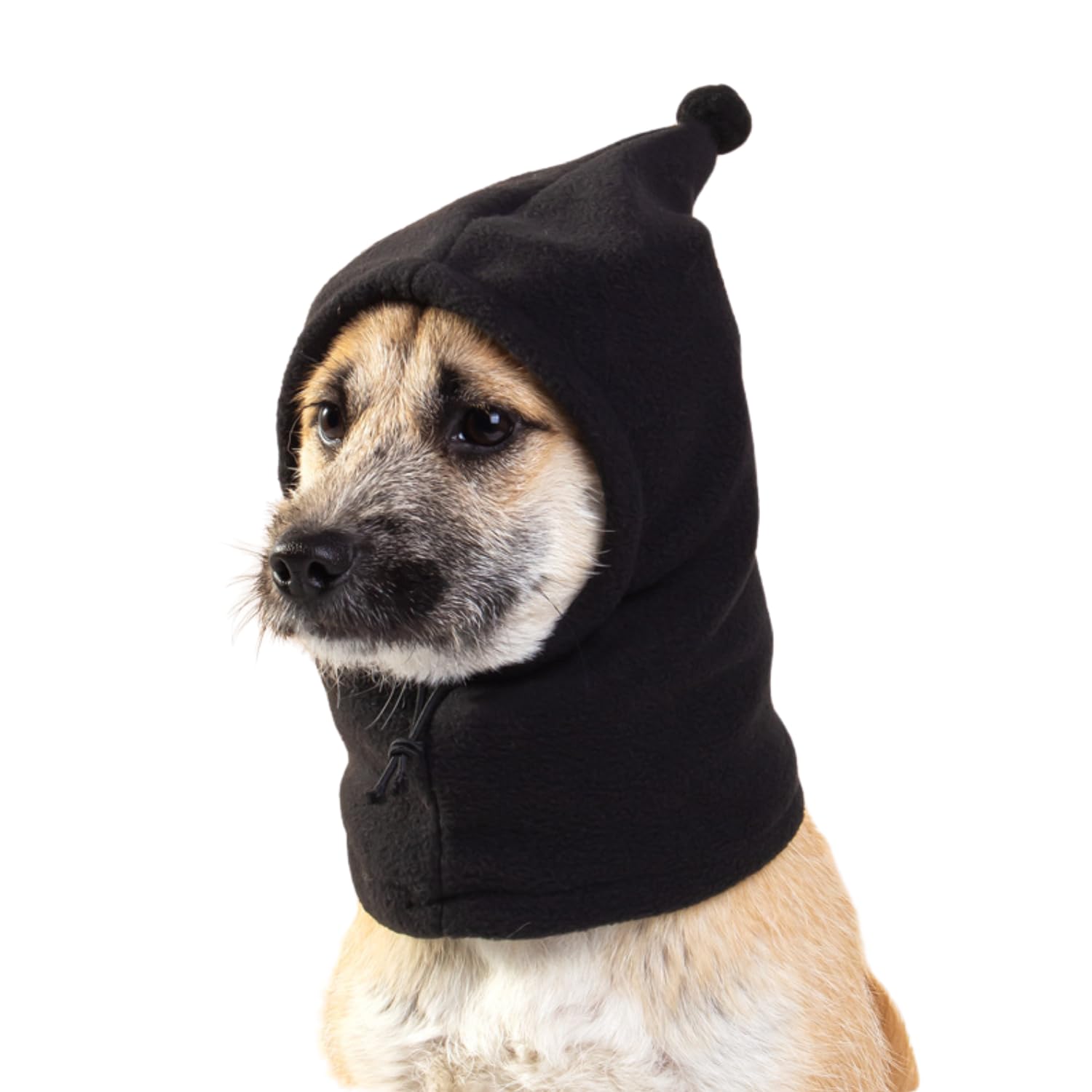 BT Bear Plush Dog Hats,Warm Pet Cover,Winter Hat Dog Head Wrap Quiet Ears for Dogs,Muffs Noise Protection for Small Medium Dogs (Black,M) — image 1