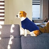 Jodsen Small Dog Jumper Warm Puppy Sweater Knitted Pullover XS Blue view 6
