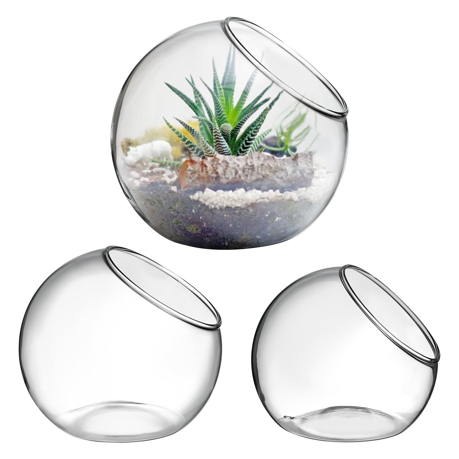 Yardwe 3 Pcs Glass Terrarium Bowls, Slant Cut Air Plant Holder Set, Clear Decorative Planter Pot for Succulents and Moss