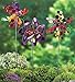 Plow & Hearth Set of 3 Metal Pinwheel Decorative Garden Stakes 7 L x 4.25 W x 22 H Multicolored