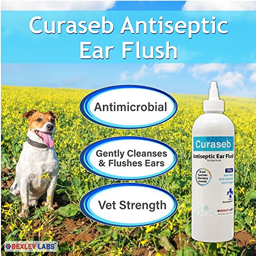 Curaseb Dog Ear Infection Treatment Treats Ear Mite Yeast And Fungal