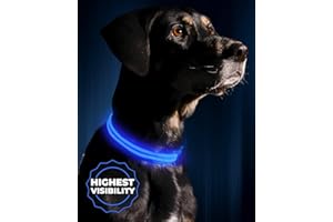 Illumiseen LED Light Up Dog Collar - Bright & High Visibility Lighted Glow Collar for Pet Night Walking – USB Rechargeable – Weatherproof, in 6 Colors