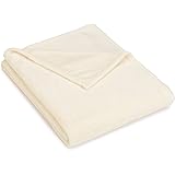 Pinzon Velvet Plush Blanket - Twin, Ivory
