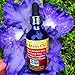 ORGANIC NOSE TO BRAIN OIL (Nasal drops) - Ayurvedic Nasya Oil - Supports Mental Clarity - Helps Sinus Congestion, Brain Fog - Relieves Nasal Dryness, Allergies - Promotes Restful Sleep