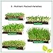 Window Garden Microgreen Assortment 5 Pack Refill – Use with Grow n Serve Kit, Multi-Use 15” x 6” Planter Tray, Pre-Measured Soil + Seed, Zesty Radish, Sunflowers, Pea Shoots, Wheat Grass and Salad.