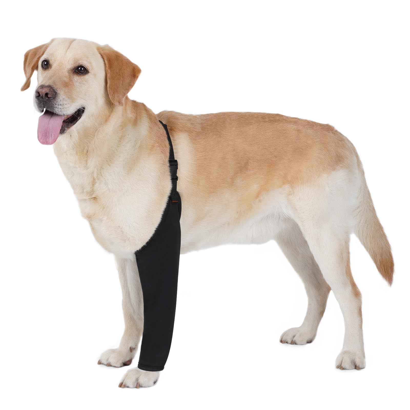 Photo 1 of BARKLESS Dog Recovery Suit for Front Leg After Surgery, Breathable Dog Front Leg Sleeve for Male/Female to Stop Licking, Single Sleeve for Left/Right Joint Wound Cover, Cone Alternatives (Black, L)