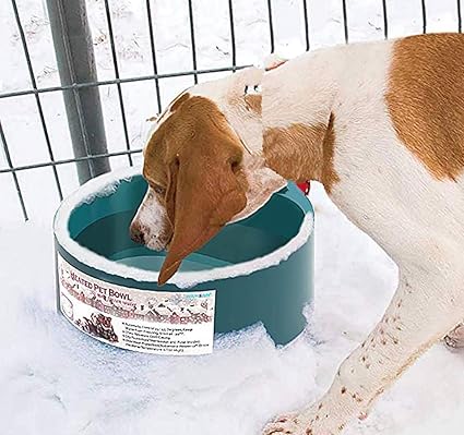 heated dog waterer