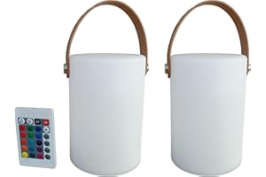 DGREVIGX AA Battery Portable Lantern Color Atmosphere Table Lamp Replaceable Battery Night Light Decoration Gift Table Party 2Pack