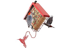 FlowaFoli Suet Bird Feeder, Metal Suet Feeder for Outside Hanging, Single Suet Cake Capacity, Fruit and Suet Feeder Style for Outside Hanging(Red)