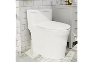 Givingtree Dual Flush Toilet with 17.7 inch ADA Seat Height,Elongated Standard One Piece Toilet with Powerful Flushing, 12 inch Rough-In Bright White