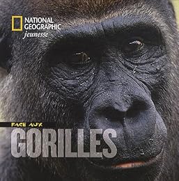 Face aux gorilles
