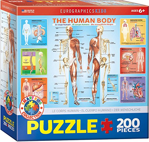 EuroGraphics Human Body Jigsaw Puzzle (200-Piece)