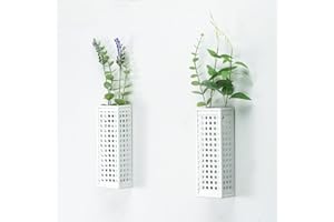 AIM & GGKK Wall Vases for Decor, Set of 2, Metal Plant Holder, Wall Hanging Planters for Indoor Plants, Modern Metal Wall Decor