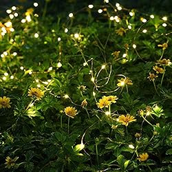 FELISHINE 20 Packs Fairy String Lights, 6.6FT 20